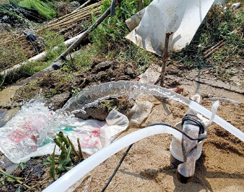 大丰鱼塘边打井