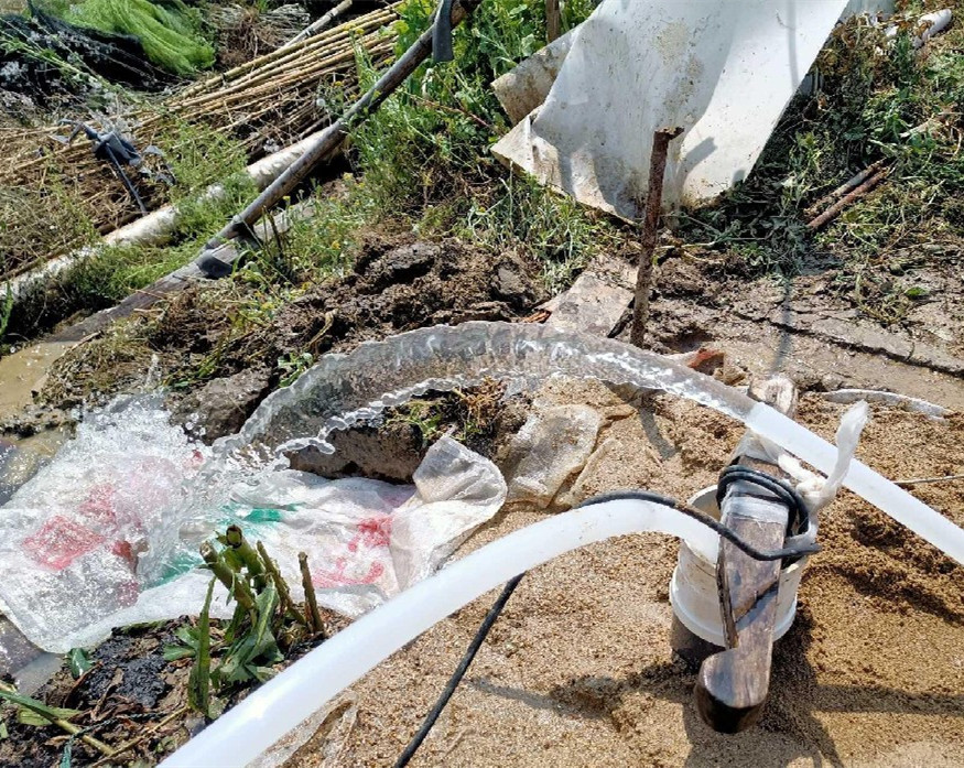 大丰果园种树打井